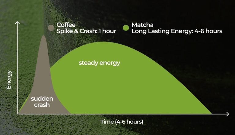 All Matcha Cultivars At Nagocha Tea House Hanoi